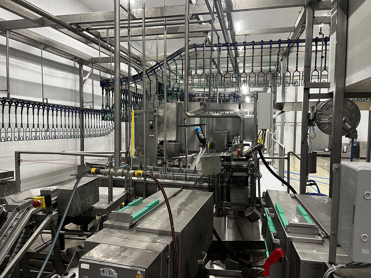 Used 2013 MEYN Apollo 4000 BPH poultry slaughterhouse