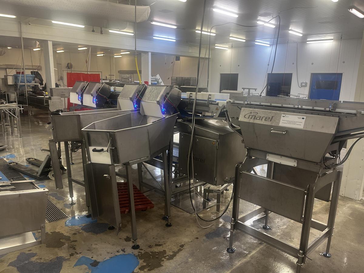 Used MAREL Smart Line grader