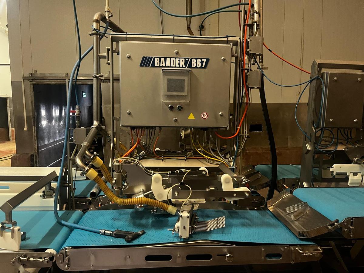 Used BAADER 867 Post-Rigor Pinbone Remover (4-lane)
