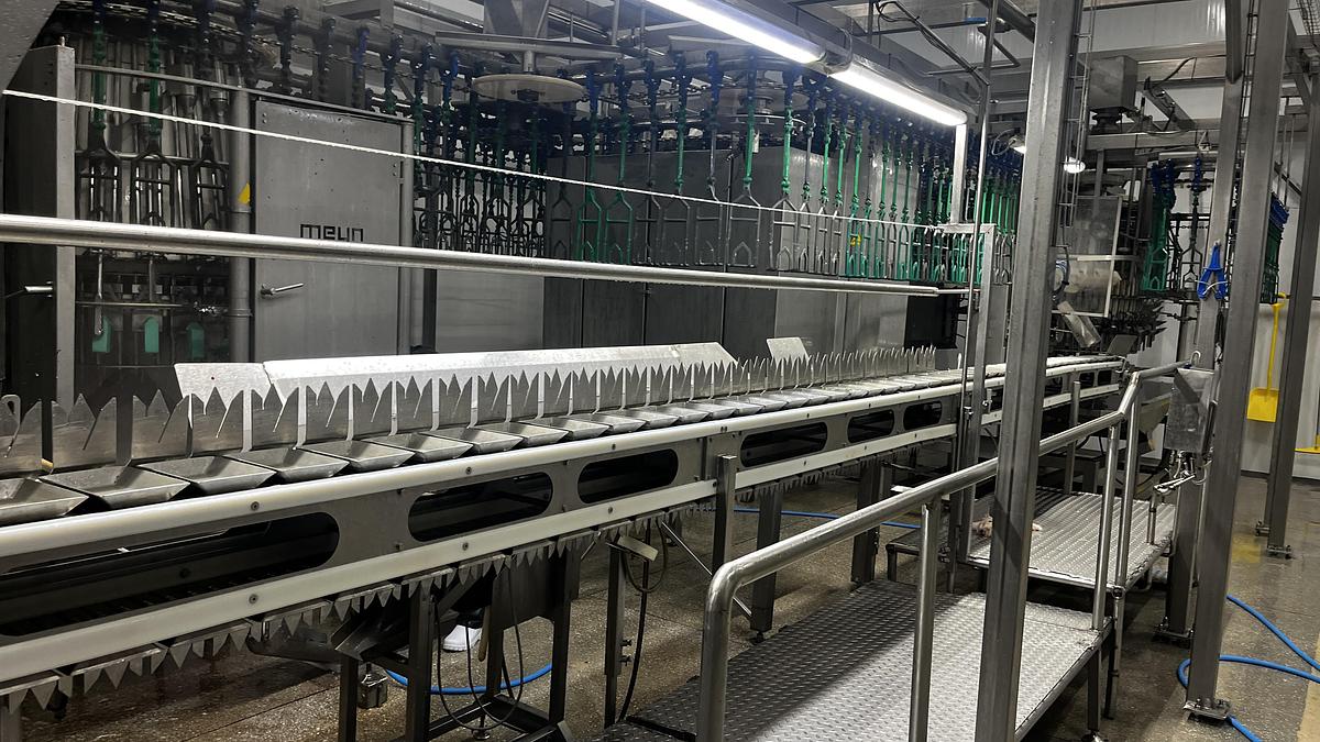 Used 2013 MEYN Apollo 4000 BPH poultry slaughterhouse