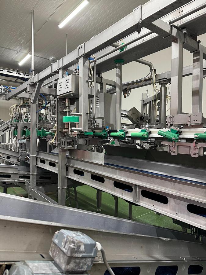 Used Meyn Rapid HQ breast cap filleting machine