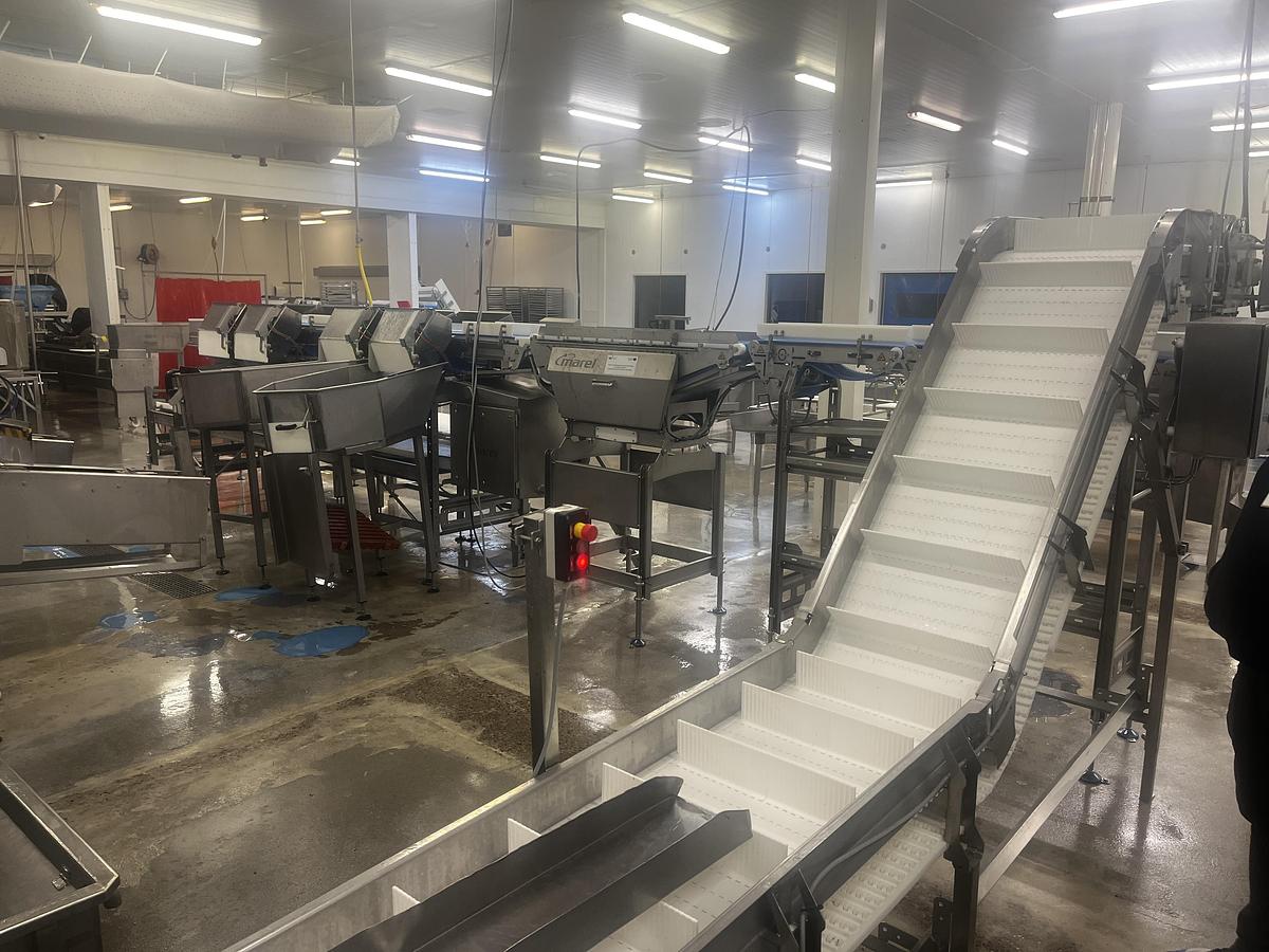 Used MAREL Smart Line grader