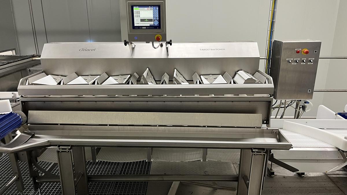 Used 2019 MAREL TBL 3000