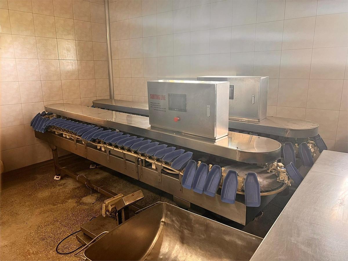 Used Chicken Feet Processing Line 8000 pcs/h