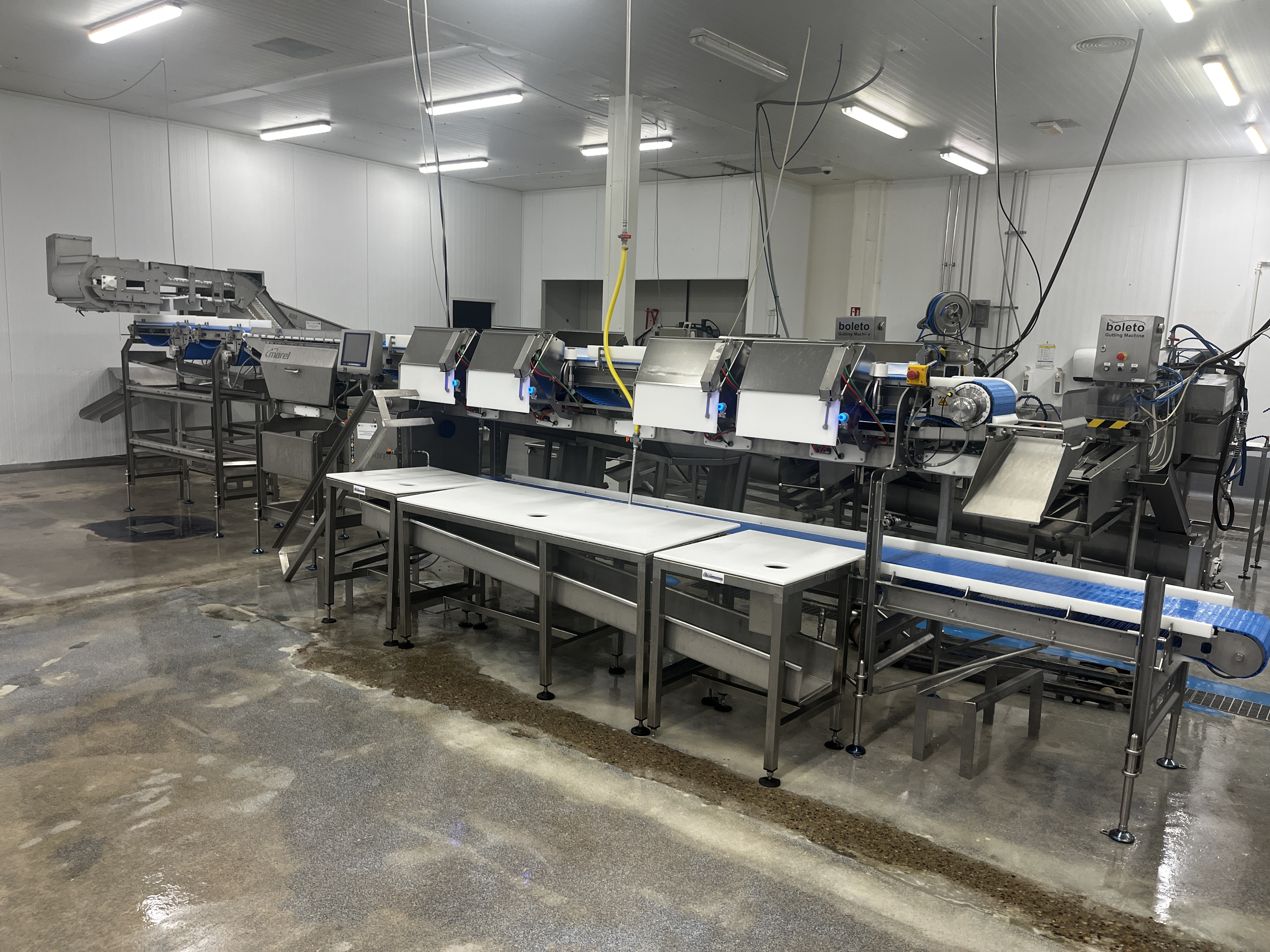 Used MAREL Smart Line grader