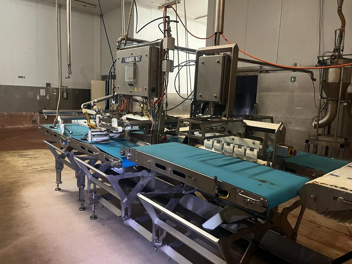 Used BAADER 867 Post-Rigor Pinbone Remover (4-lane)