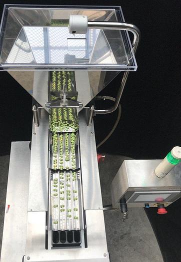 Used I 16440 D - Counting Machine for Tablets, Tablets, capsules and coated tablets COUNTEC DMC 4