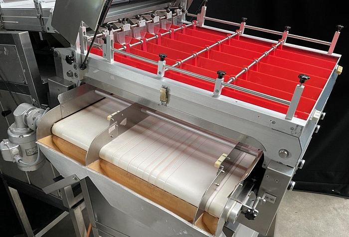 Used U 16286 D - Coated tablets and tablets sorter MASCHINPEX SORTOMAT 6 D