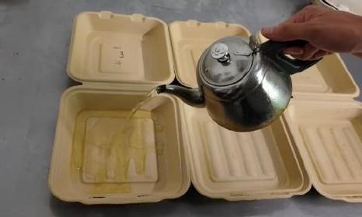 GeoTegrity LD-12-1850 Thermoforming Machine Unused School Lunch Trey Line
