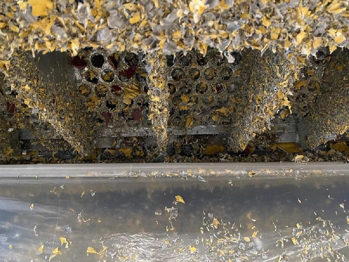 Used WEIMA SINGLE SHAFT SHREDDER MODEL WLK15 - 150HP - RECONDITIONED