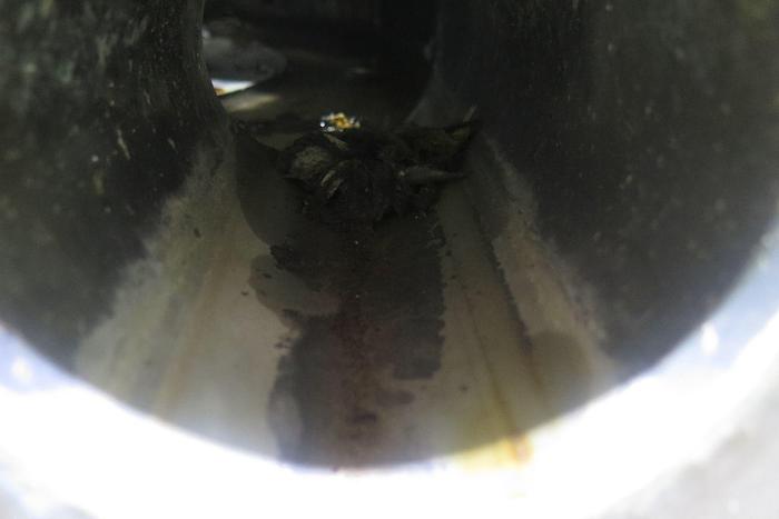 Used PRESSURE SCREEN - VOITH 05 MINI SORTER