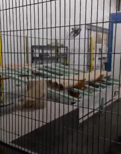 Used 108" PCMC MODEL IR500 INDUSTRIAL PAPER ROLL TOWELL LINE - UPDATED 2018