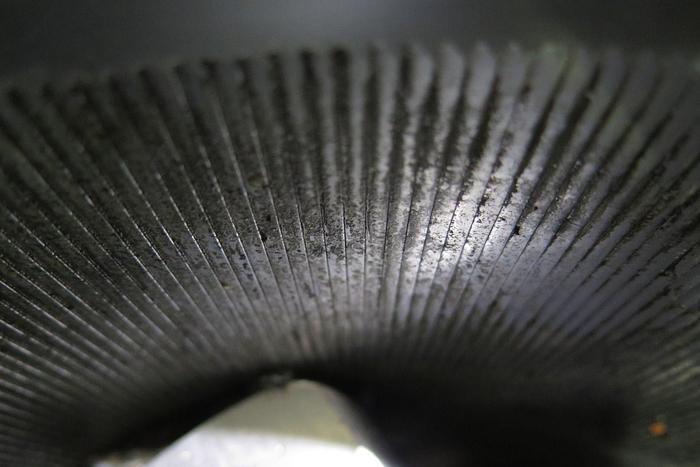 Used PRESSURE SCREEN - VOITH 05 MINI SORTER