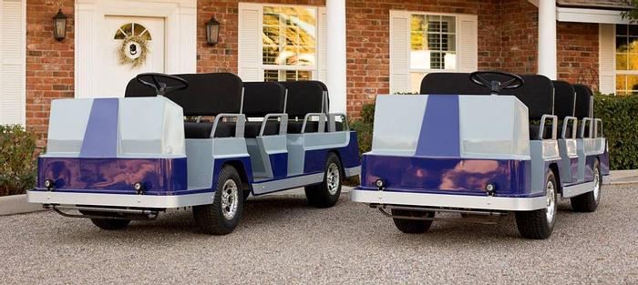 Used Taylor Dunn F-12 8 Passenger Limos
