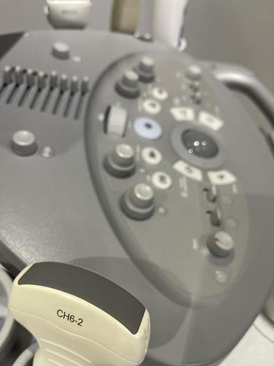 Gebraucht Siemens Acuson Antares Ultrschallsystem mit 3x Sonden, Mitsubishi P93D Drucker, DVD Recorder