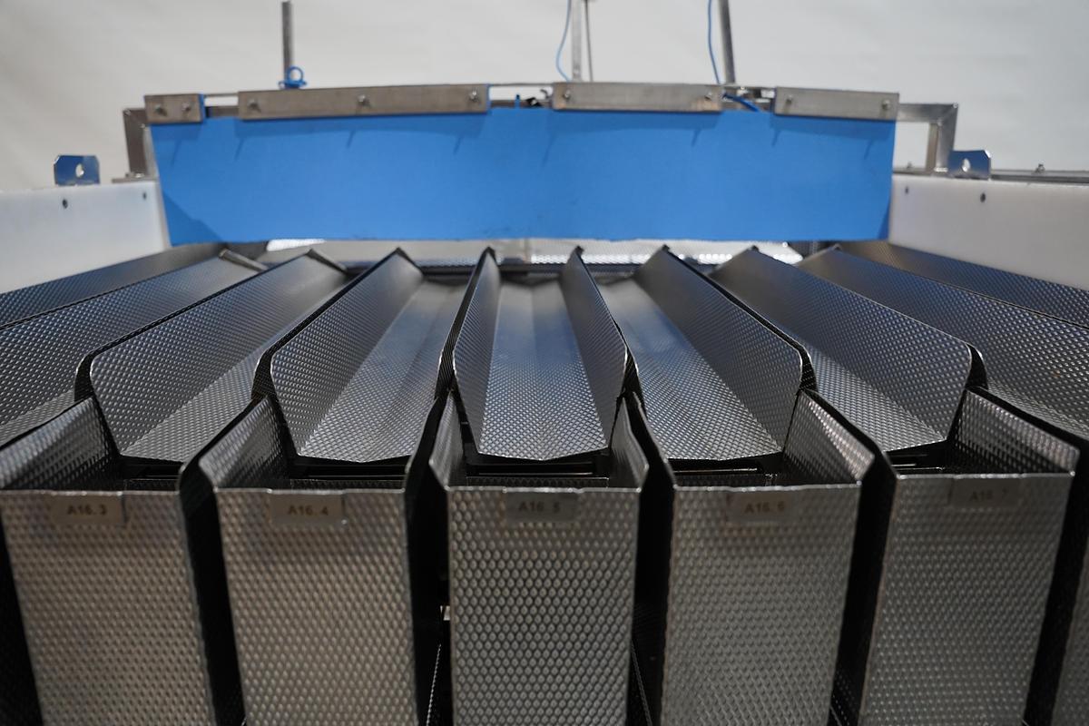 Gebruikt 2009 Newtec lineair weger