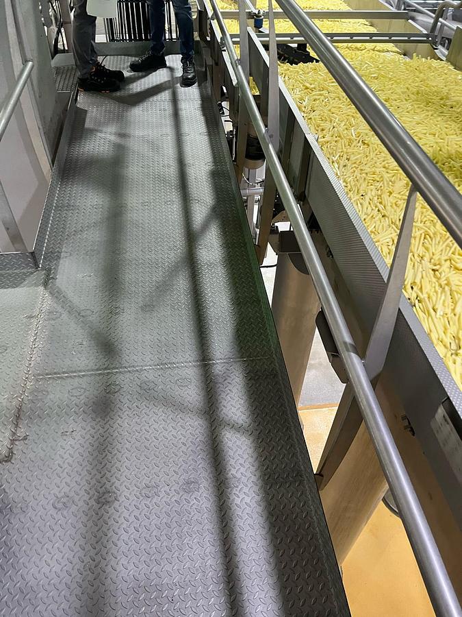 Used Complete sorteerlijn voor productie van French Fries