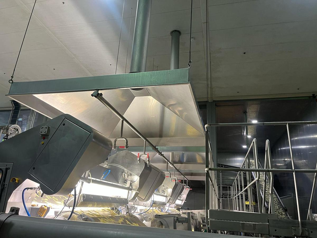 Used Complete sorteerlijn voor productie van French Fries