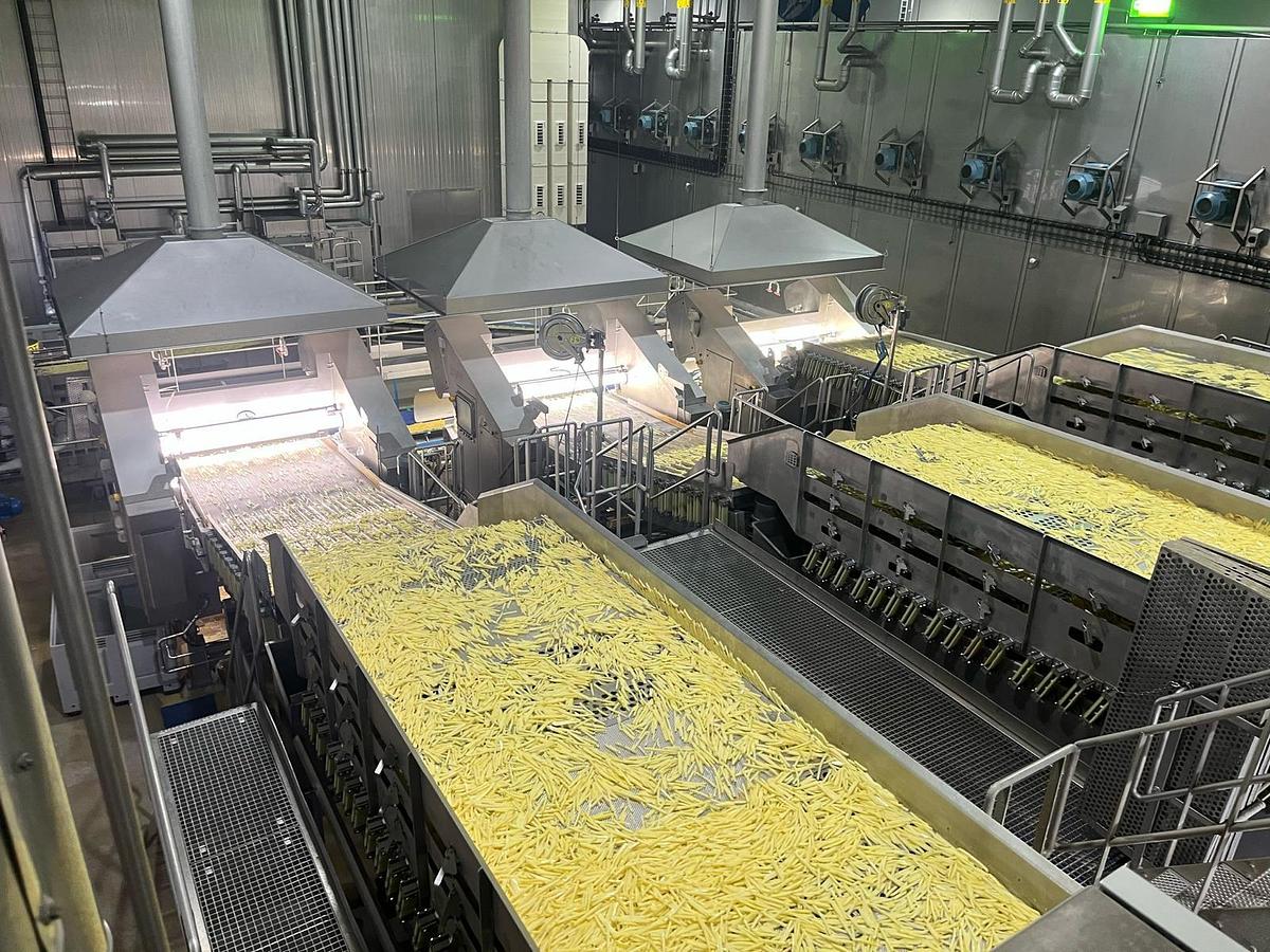 Used Complete sorteerlijn voor productie van French Fries