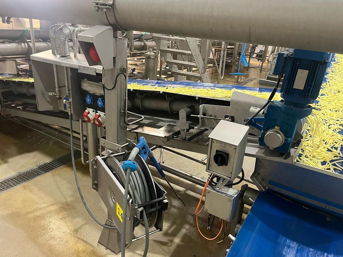 Used Complete sorteerlijn voor productie van French Fries