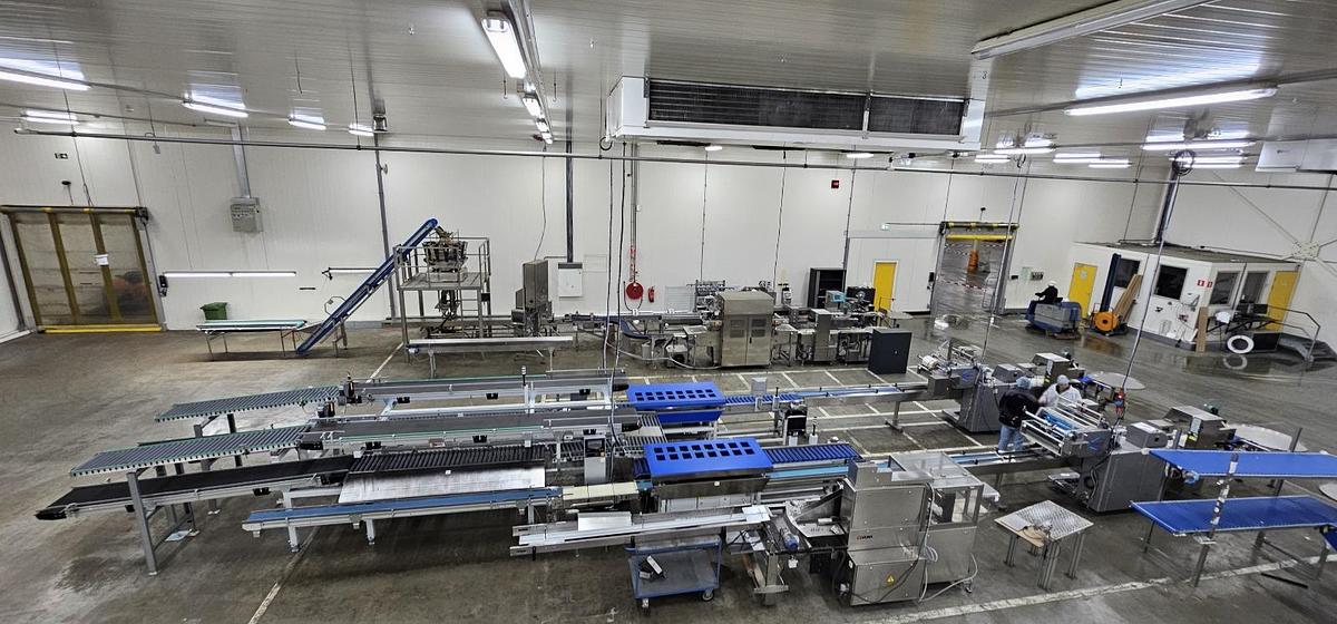 Used 2023 Viscon Complete weeg/ verpakkingslijn voor tros tomaten