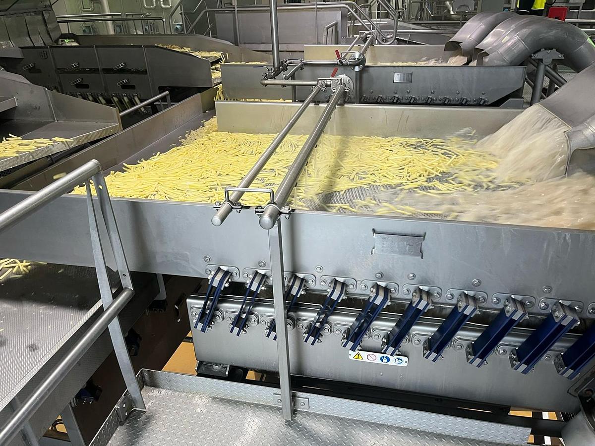 Used Complete sorteerlijn voor productie van French Fries