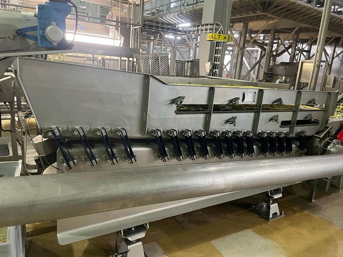 Used Complete sorteerlijn voor productie van French Fries