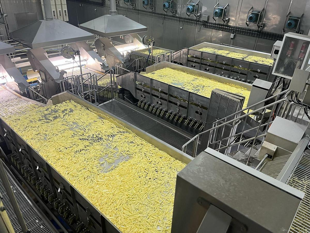 Used Complete sorteerlijn voor productie van French Fries