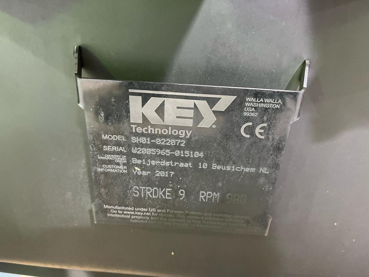 Used Complete sorteerlijn voor productie van French Fries