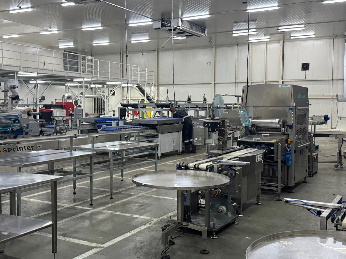 Used 2023 Viscon Complete weeg/ verpakkingslijn voor tros tomaten