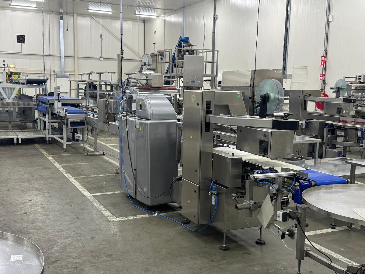 Used 2023 Viscon Complete weeg/ verpakkingslijn voor tros tomaten