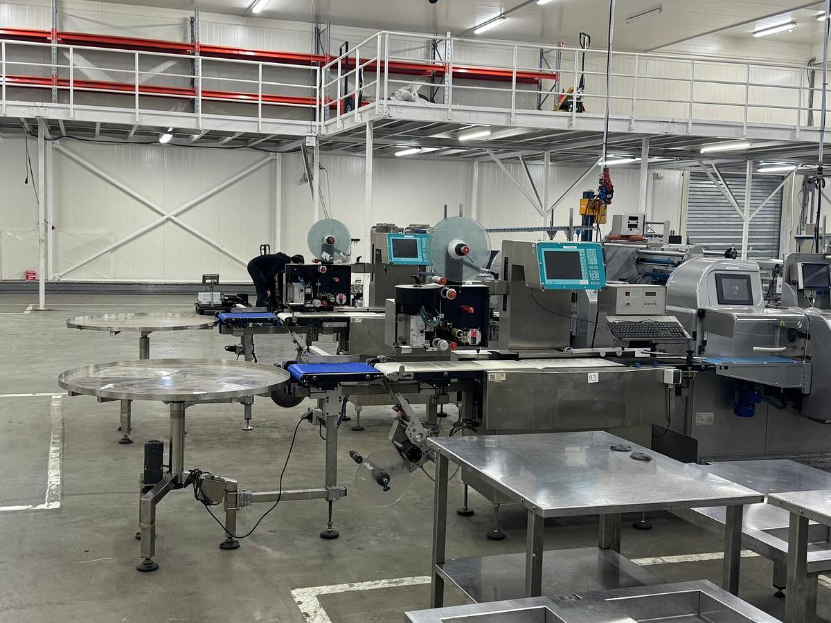 Used 2023 Viscon Complete weeg/ verpakkingslijn voor tros tomaten