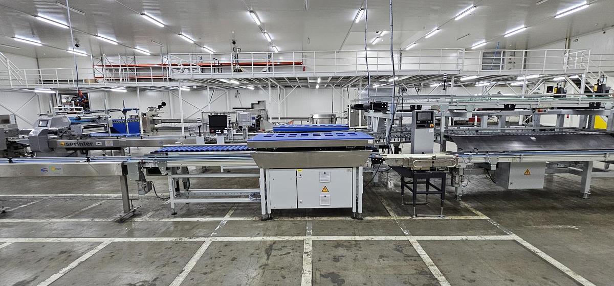 Used 2023 Viscon Complete weeg/ verpakkingslijn voor tros tomaten