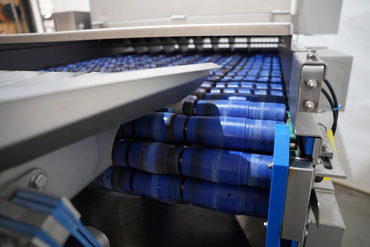 Gebruikt 2019 Foodeq spreid triller en 2019 Marcelissen deler