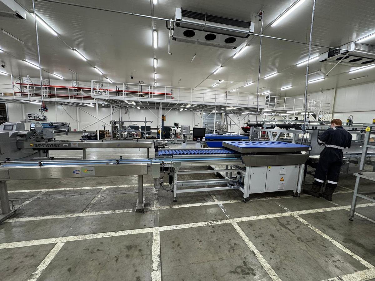 Used 2023 Viscon Complete weeg/ verpakkingslijn voor tros tomaten