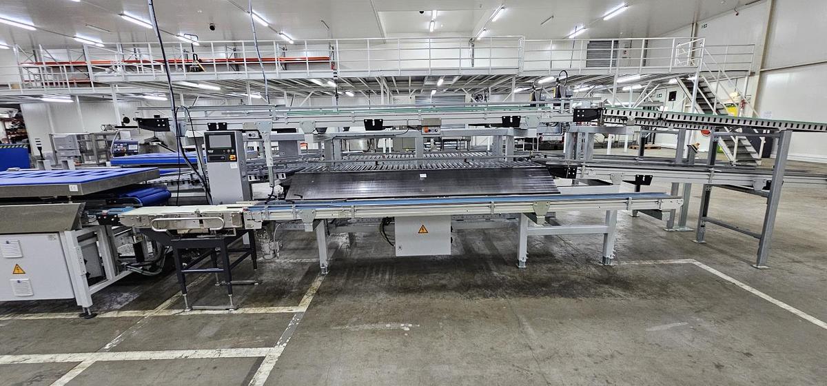 Used 2023 Viscon Complete weeg/ verpakkingslijn voor tros tomaten