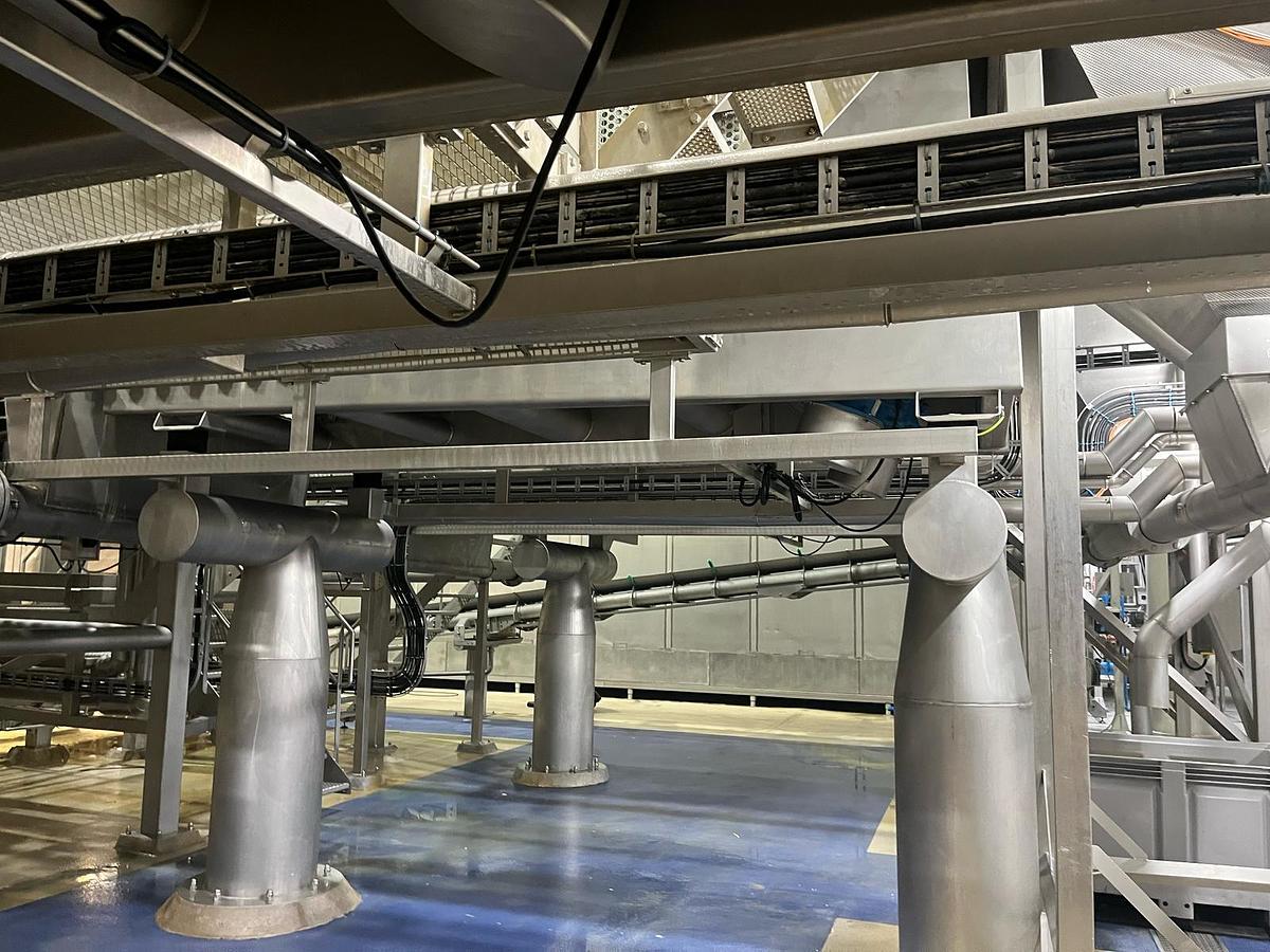 Used Complete sorteerlijn voor productie van French Fries