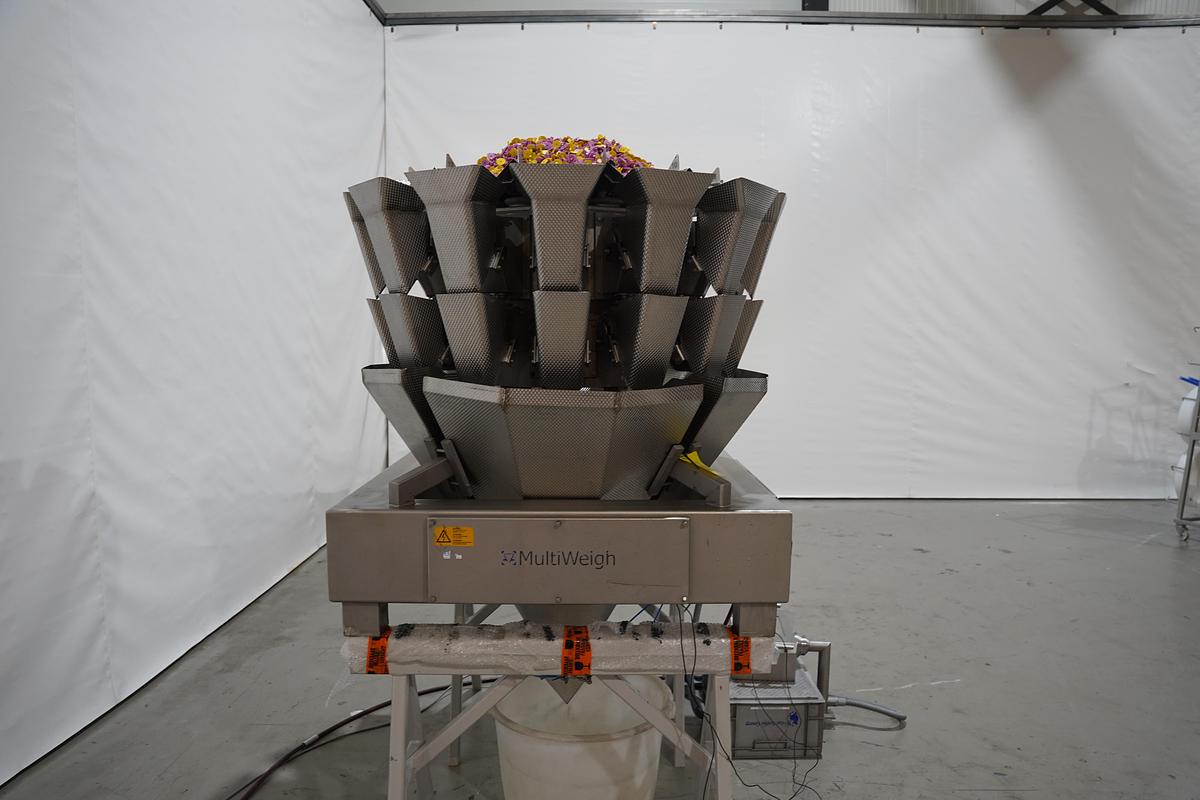 Gebruikt 2003 Multiweigh Multihead weger, type HDW 14-2.0-60-50kg