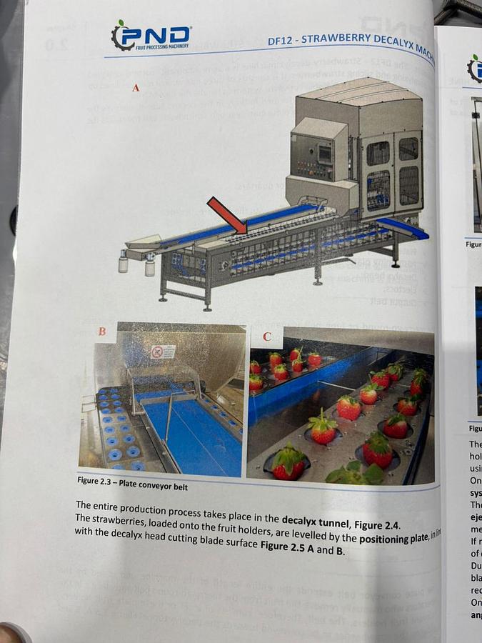 Gebruikt 2022 PND  Aardbeiensnijder type, De-clayx machine