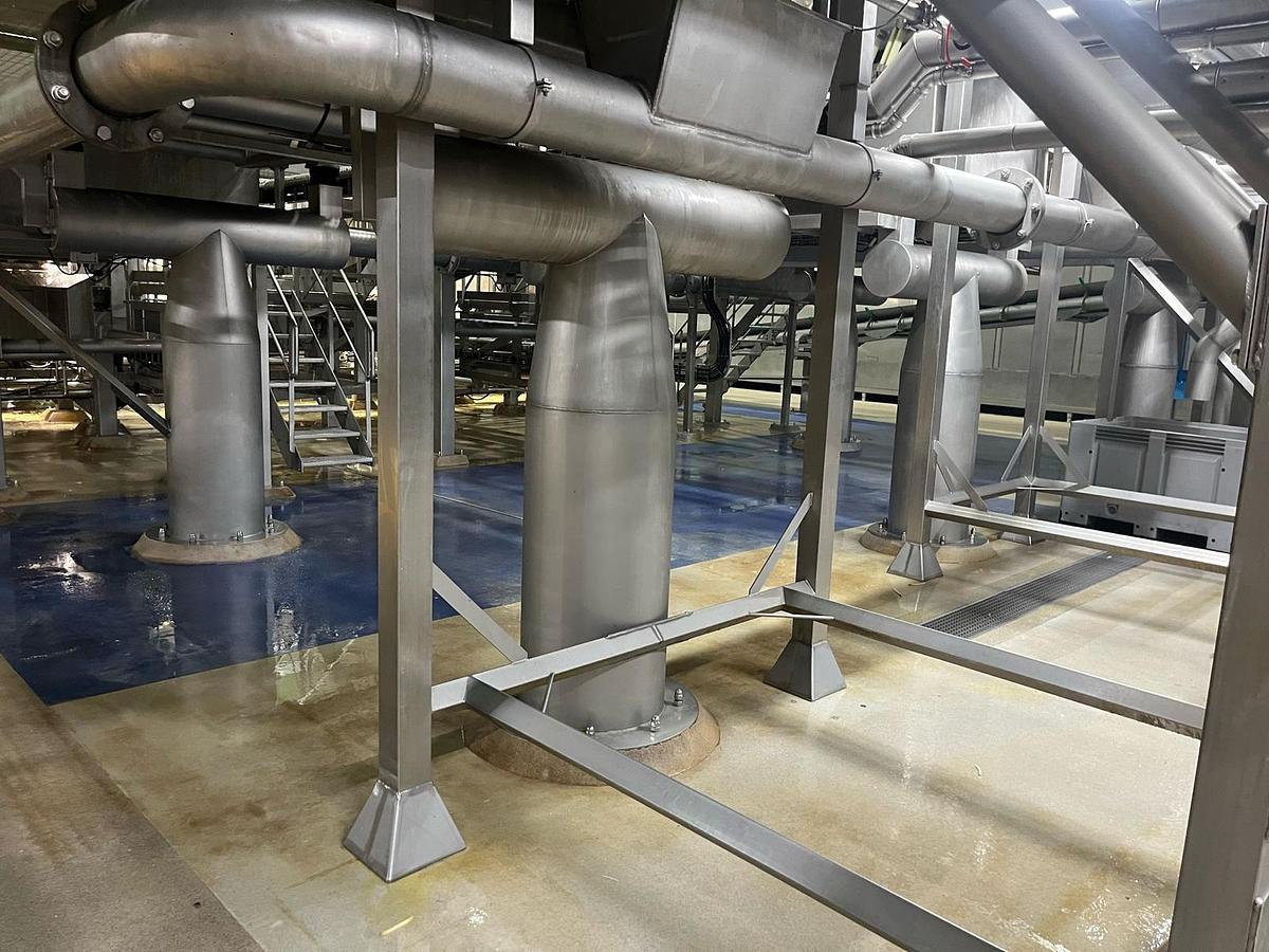 Used Complete sorteerlijn voor productie van French Fries