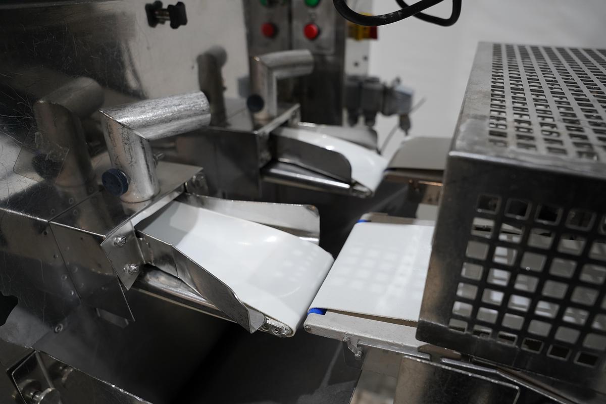 Gebruikt 2006 Rheon vormmachine met bebloeming