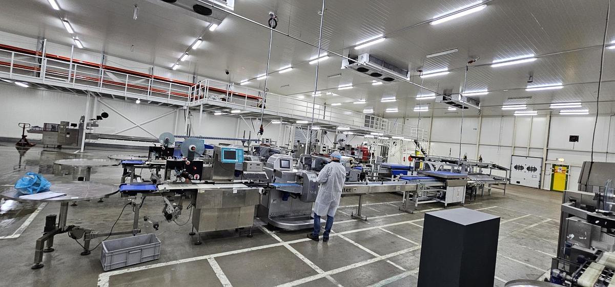 Used 2023 Viscon Complete weeg/ verpakkingslijn voor tros tomaten