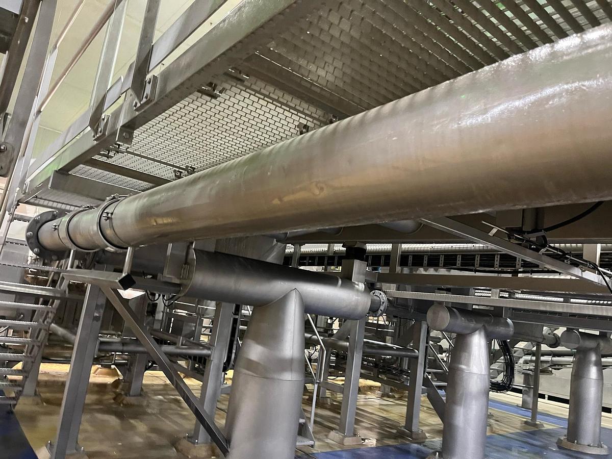 Used Complete sorteerlijn voor productie van French Fries