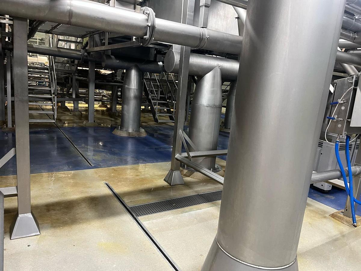 Used Complete sorteerlijn voor productie van French Fries