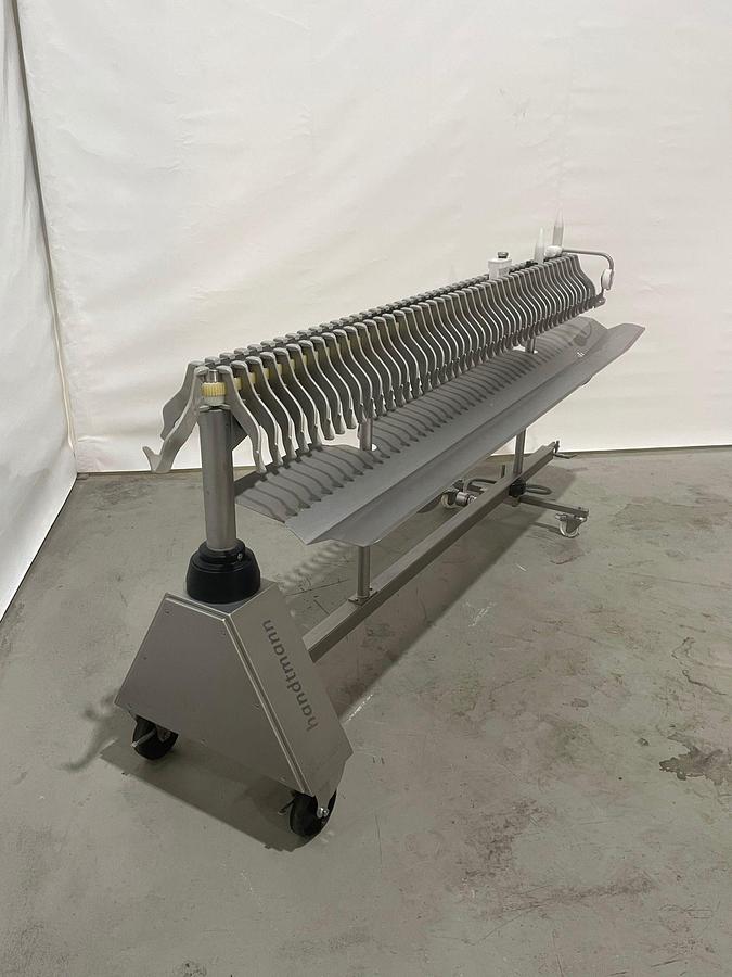 Used 2019 Handtmann Worstenhanglijn