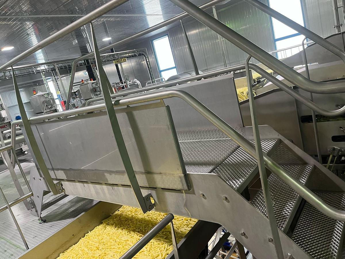 Used Complete sorteerlijn voor productie van French Fries