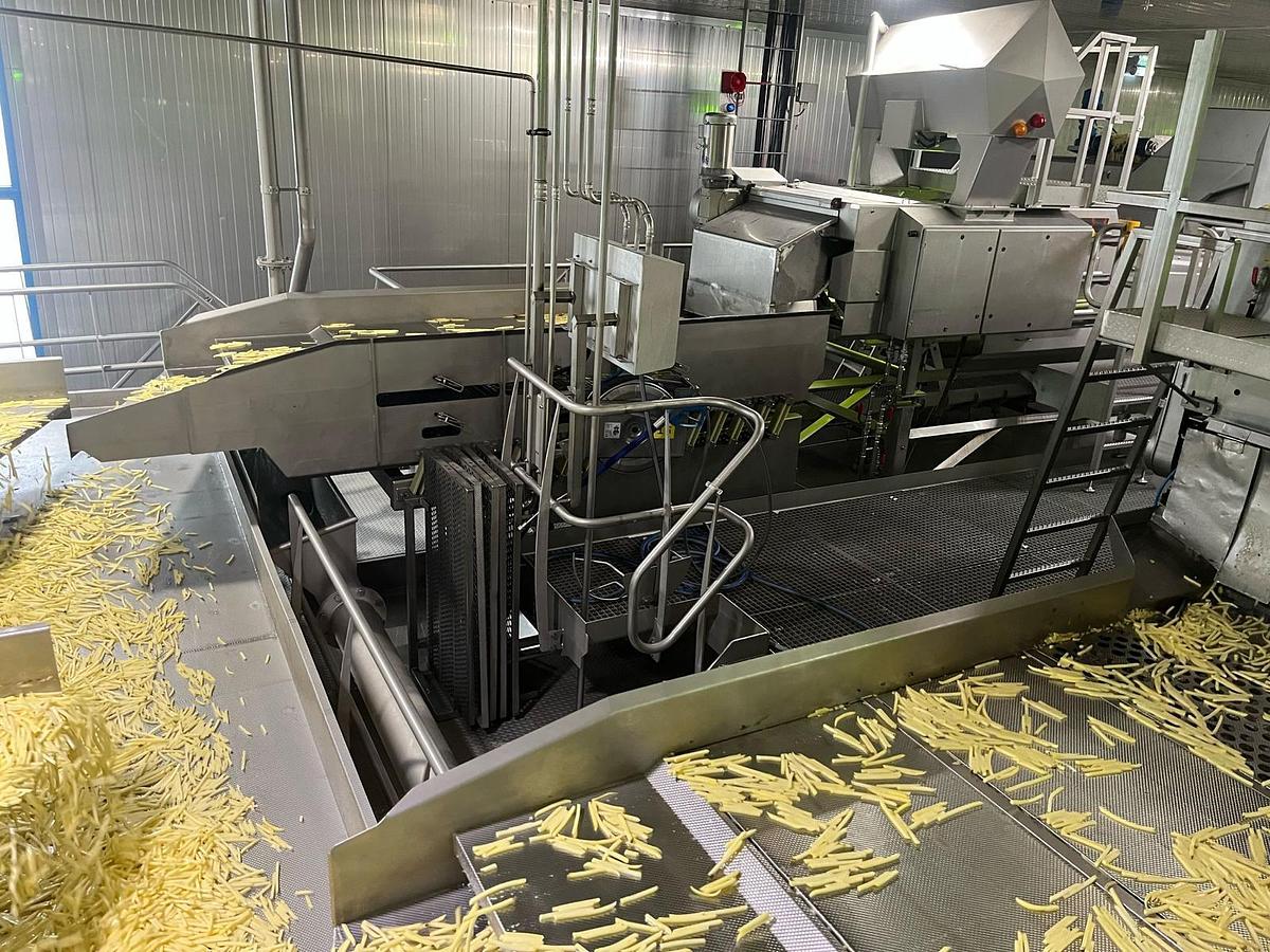 Used Complete sorteerlijn voor productie van French Fries