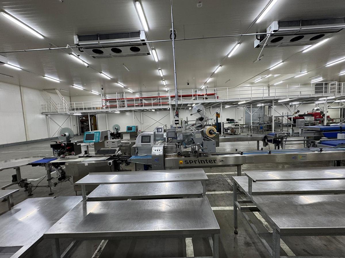 Used 2023 Viscon Complete weeg/ verpakkingslijn voor tros tomaten