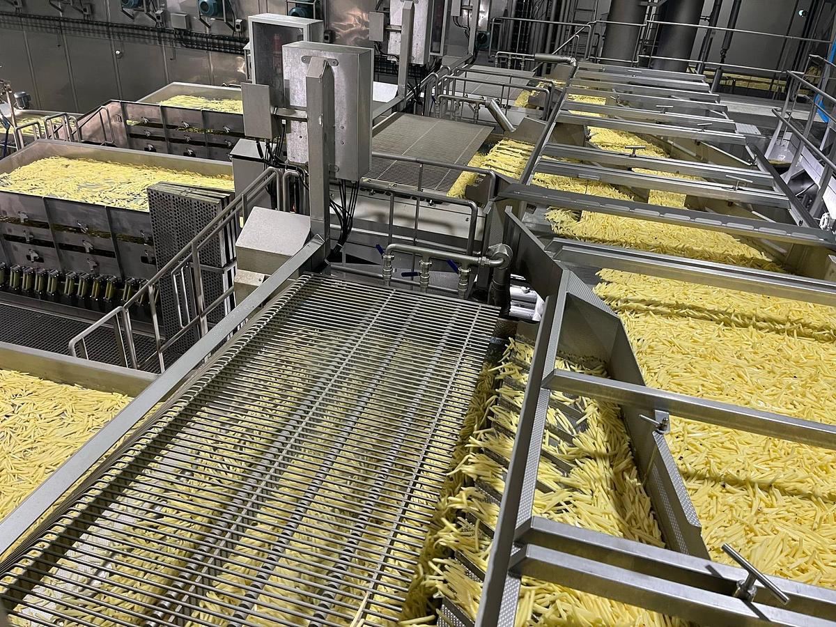 Used Complete sorteerlijn voor productie van French Fries