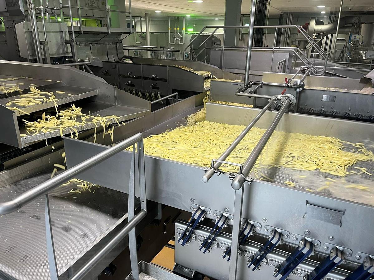 Used Complete sorteerlijn voor productie van French Fries